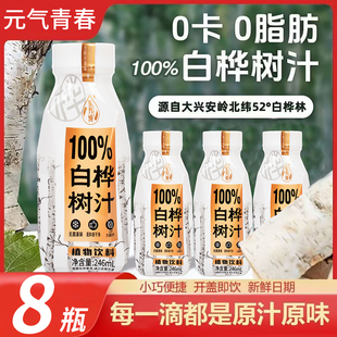 冲量直售 白桦树汁整箱8瓶0蔗糖0脂0卡植物饮料新品 不加一滴水
