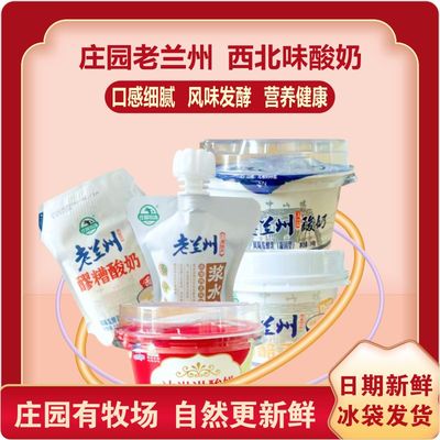 庄园牧场甘肃风味浆水酸奶发酵乳饮品营养早餐酸牛奶