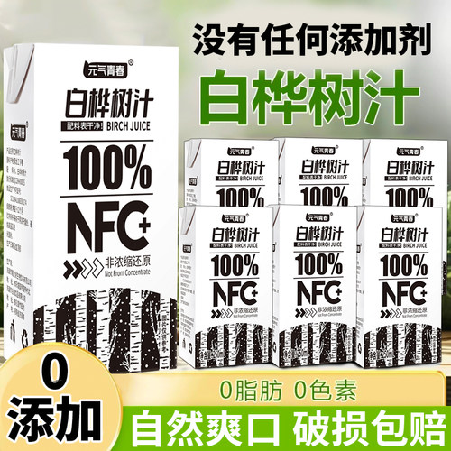 白桦树汁原液NFC非浓缩还原0香精植物饮料爆款推荐夏季解渴包邮发