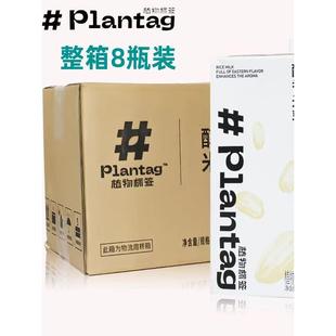 植物标签醇香米乳1kg 库迪米乳拿铁咖啡奶茶专用植物基底米乳饮料