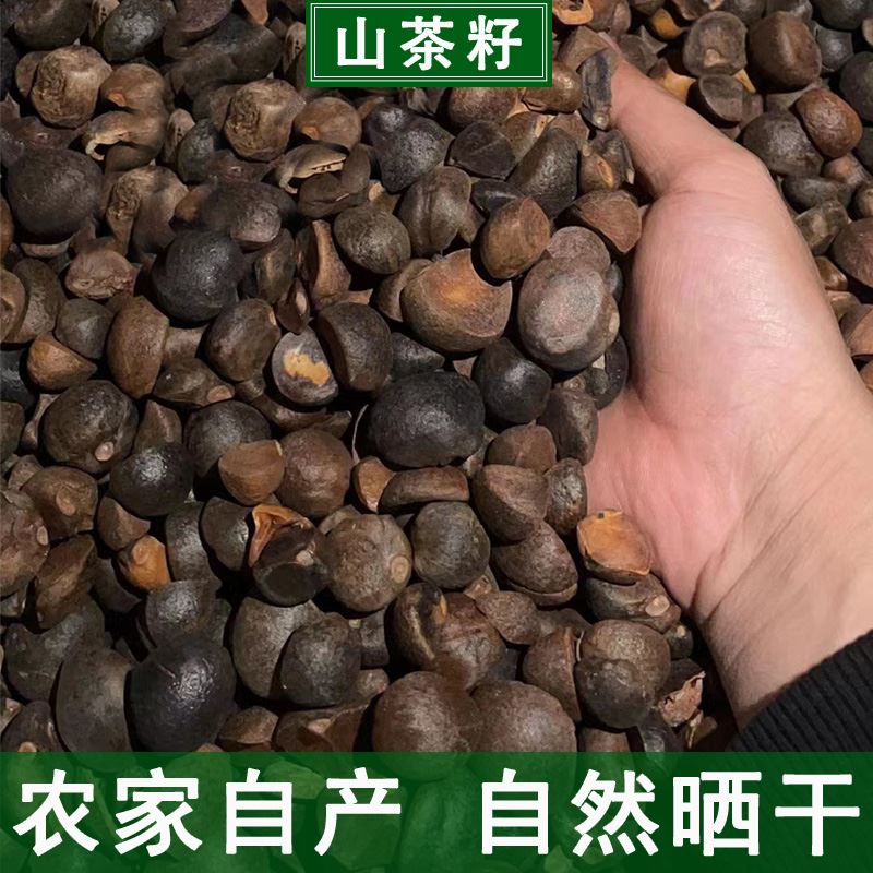 天然农家山茶籽油茶籽榨油原料自榨山茶子果茶枯茶籽粉带壳油料
