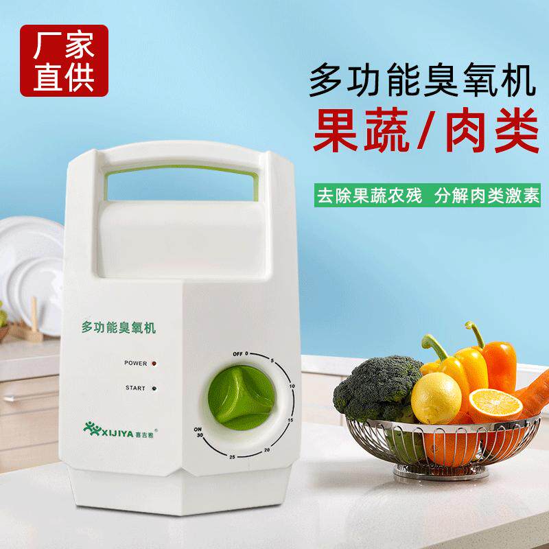 小型果蔬清洗机臭氧消毒机臭氧发生器除甲醛多功能活氧机除味除臭