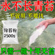 青苔清除剂水泥地面墙砖鱼缸池塘去刷清理绿藻克星灭除青苔专用药