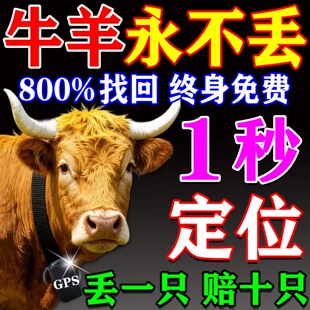 牛羊定位器马防走丢gps项圈太阳能神器山区放牧专用终身免费