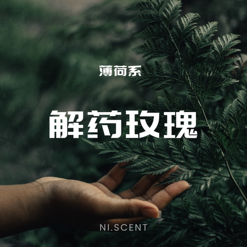 解药玫瑰NI.原创薄荷玫瑰香薰