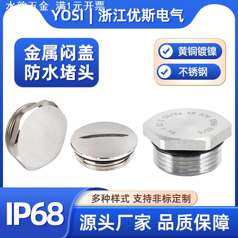 黄铜镀镍防水堵头闷盖不锈钢防爆304外六角堵塞头一字丝堵M20 PG9