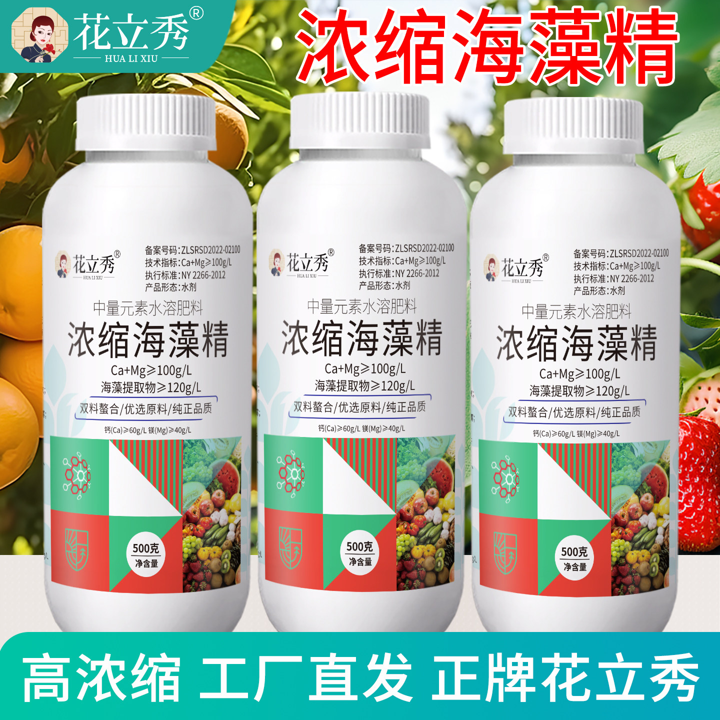 花立秀浓缩海藻精工厂直发