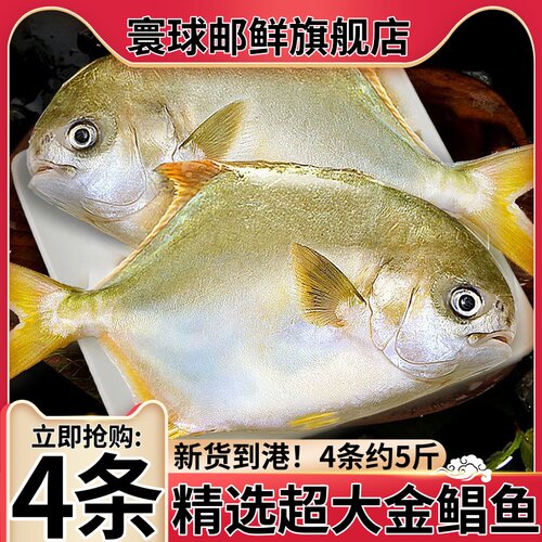 寰球邮鲜特大4条5斤金鲳鱼顺丰