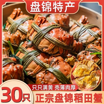 正宗盘锦河蟹大闸蟹礼盒装