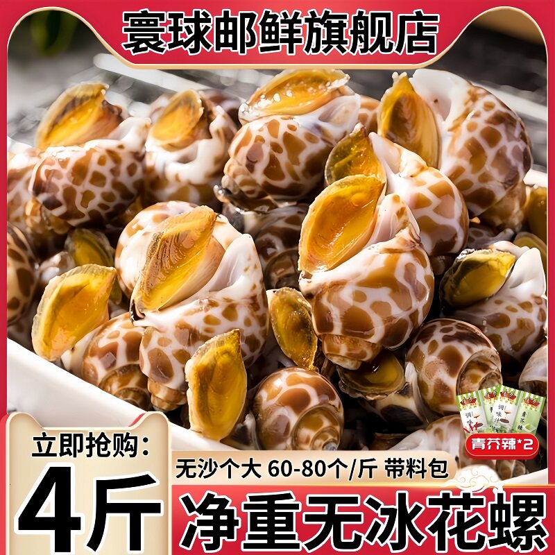 寰球邮鲜速冻无冰特大花螺东风螺