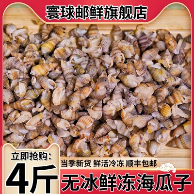 寰球邮鲜新鲜海瓜子熟冻海螺丝