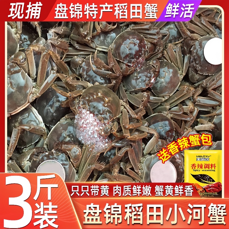 正宗盘锦小河蟹全母鲜活小螃蟹