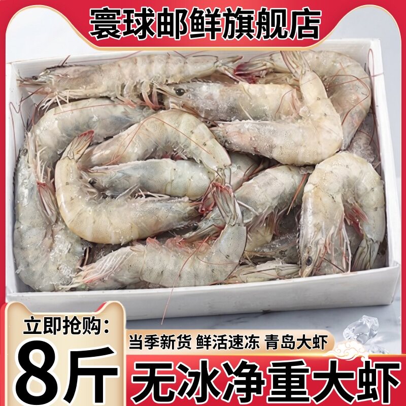 万人抢！青岛盐冻大虾，单只冻