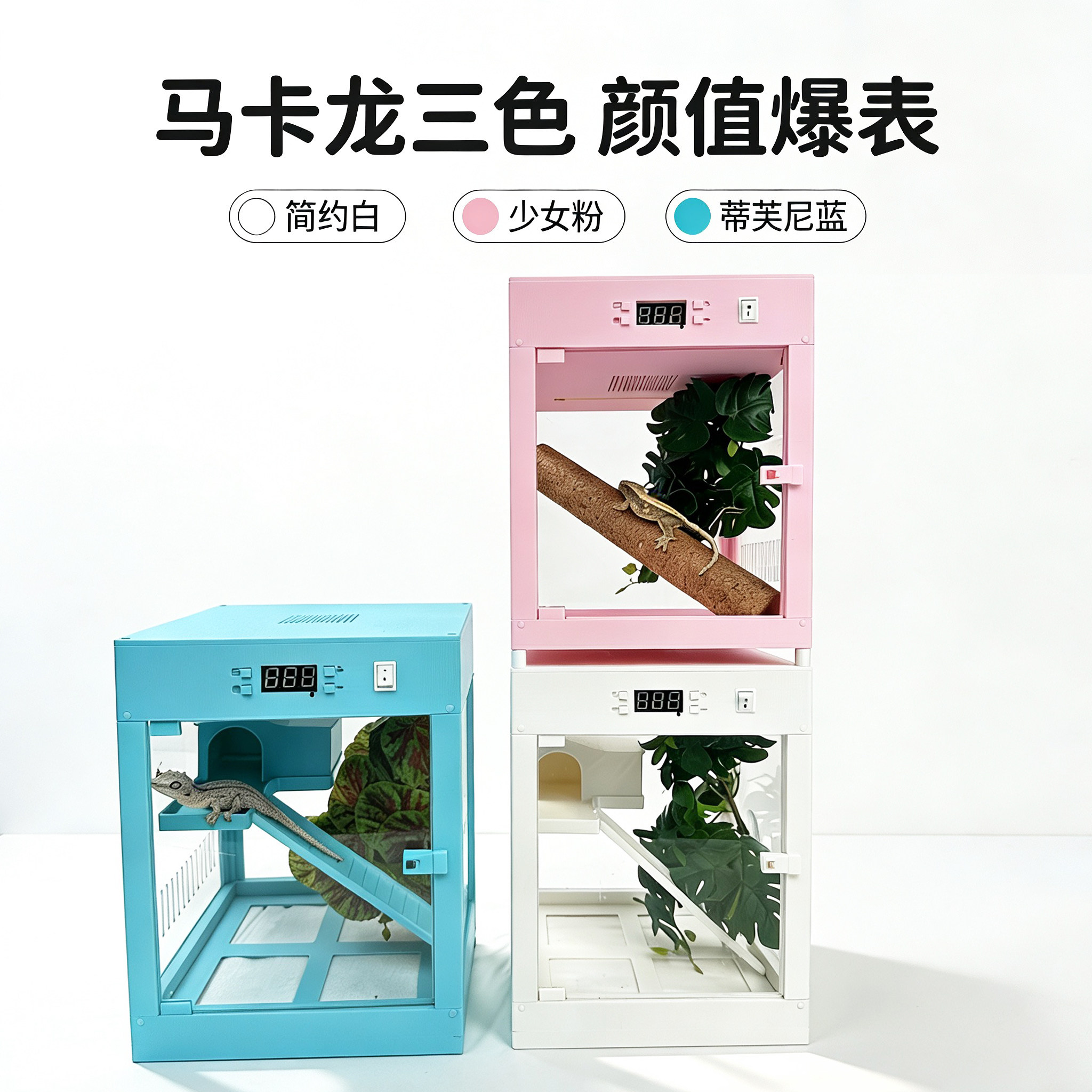 睫角守宫盖勾亚角蛙加热保温箱