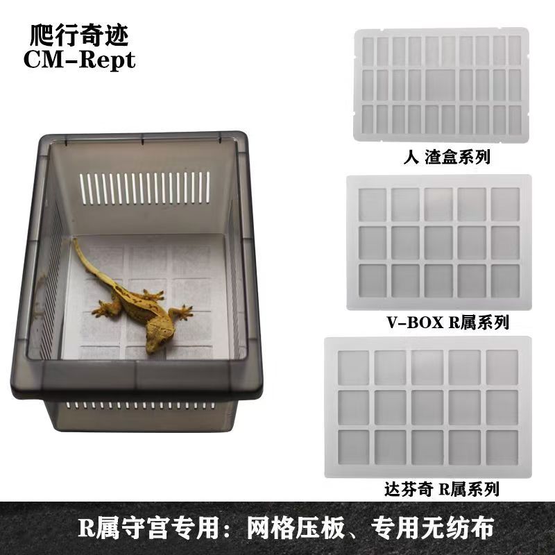 睫角守宫饲养盒网格压板无纺布
