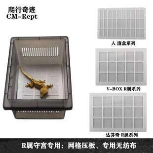睫角守宫饲养盒网格压板R属守宫垫材无防布巨人盖勾亚守宫垫纸
