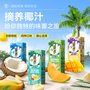 摘养鲜椰汁椰子香蕉哈密瓜果味植物奶蛋白饮250ml/10瓶  渔