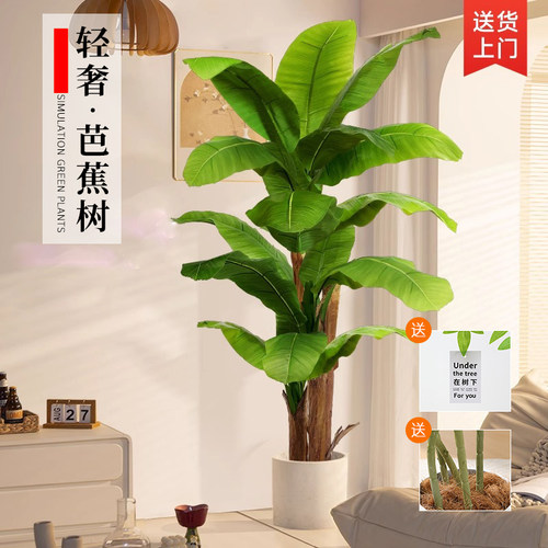 仿真大叶芭蕉树2025大型仿生绿植