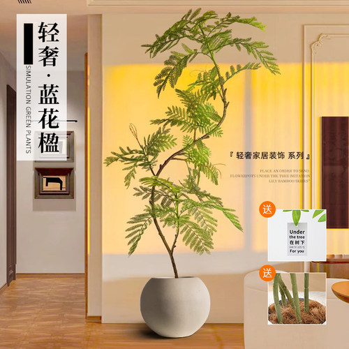 仿真绿植蓝花楹室内盆栽大型假树