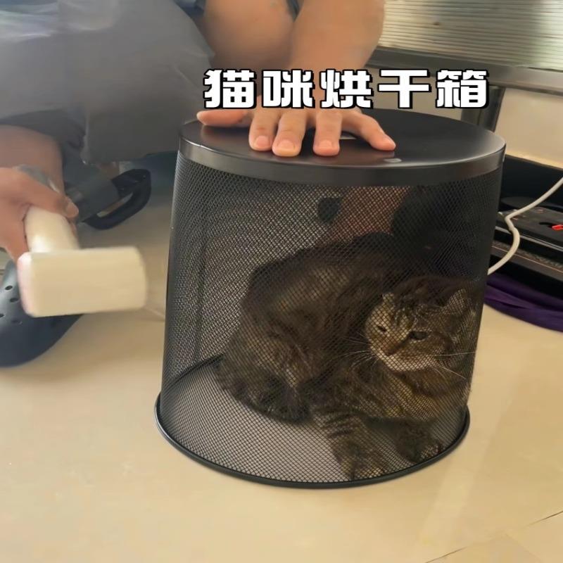 猫咪烘干箱宠物狗狗洗澡专用吹干神器小型犬吹风机吹水烘干垃圾桶