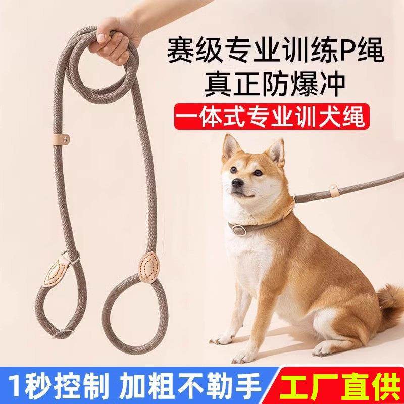狗狗绳子防爆冲P链遛狗牵引绳防挣脱狗链子中大型犬防爆冲拴狗绳