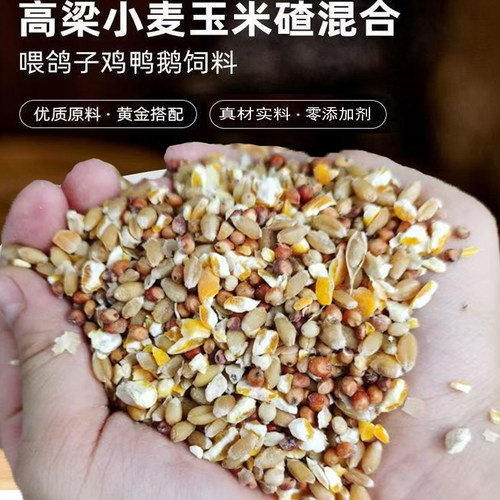 高梁麦子玉米碎混合喂鸡粮