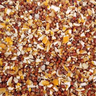 高粱玉米粒碎喂鸡混合型喂鸽子玉米碎粒红高梁营养鸽粮食家禽通用