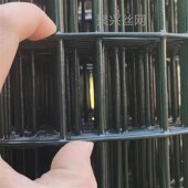 硬塑铁丝网围栏养鸡网养殖网鱼塘铁网栅栏钢丝网果园隔离网防护网