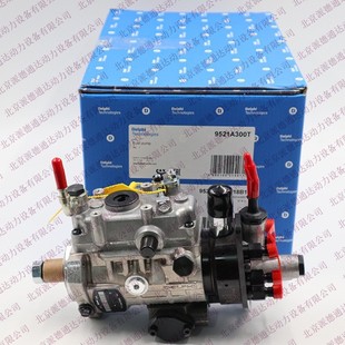 3486930油泵 T405573 德尔福费尼亚9521A300T 9521A301T