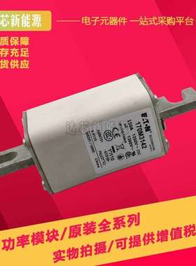 170M3158 170M3159 170M3160 170M3161 170M3162 170M3163熔断器