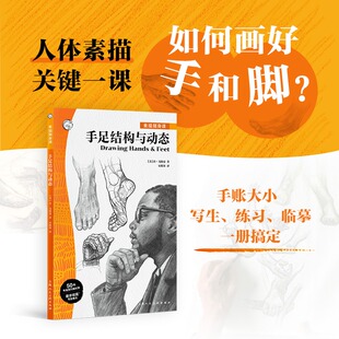 肯·戈德曼手足素描骨骼肌肉透视讲解绘画技法教程 彩色版 手足动态图例分步骤练习提升观察力表现力YJ 手足结构与动态 素描随身课