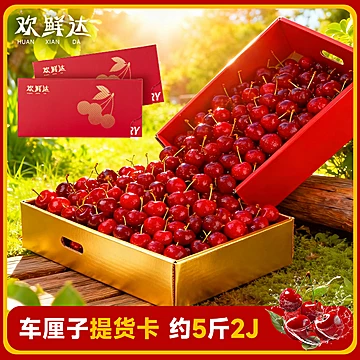 欢鲜达25年智利车厘子JJ级5斤28-30mm