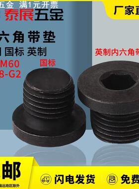 内六角带垫油塞4.8级M8-48公制JB1001细牙油塞内六角喉塞螺塞堵头