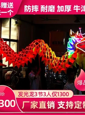 舞龙舞狮全套龙灯龙狮灯夜光服装