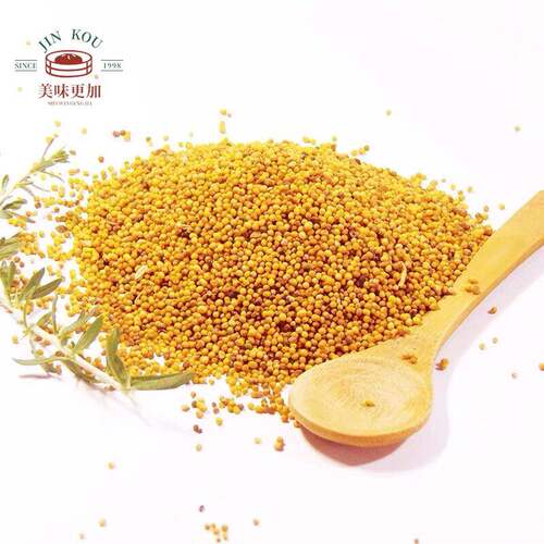 黄芥籽 黄芥子 Yellow mustard seed mustard seeds 50g