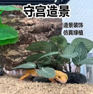 守宫造景仿真绿植生态大自然饲养箱套装睫角豹纹蜥蜴爬宠用品大全