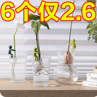 水培植物生长伴侣扶正扶枝办公桌装饰龟背竹园艺固定造型花盆底座