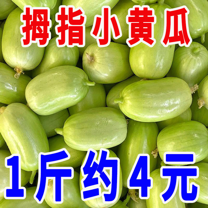 玉女水果黄瓜寿光减脂水果玉女拇指水果黄瓜手指黄瓜应季金童玉女