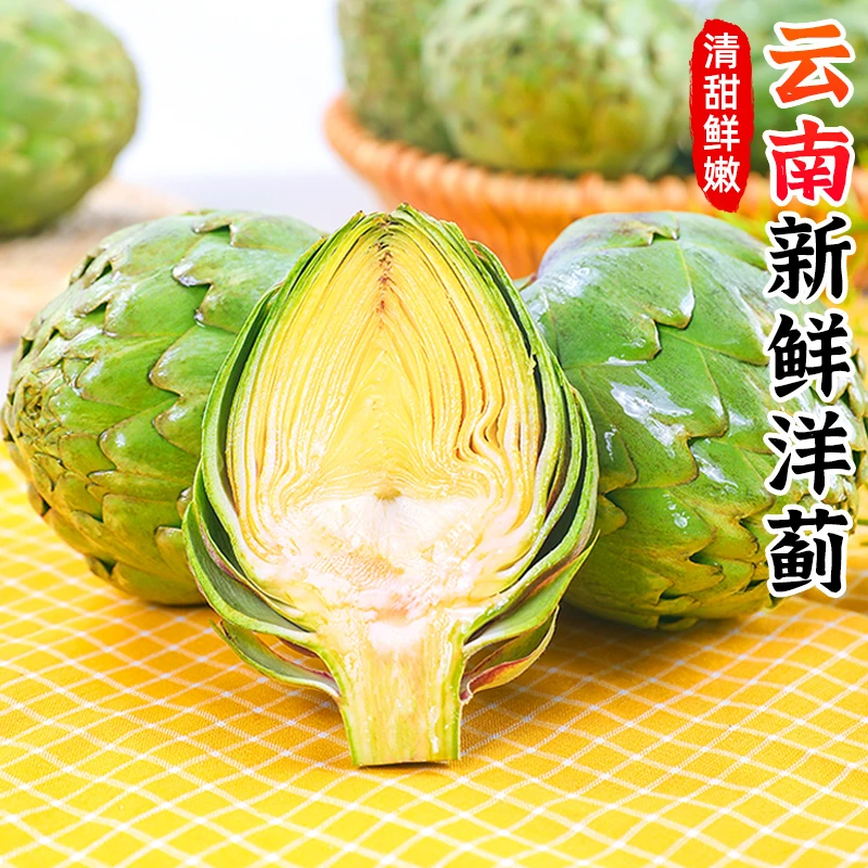云南洋蓟新鲜大果朝鲜蓟当季网红蔬菜法国百合西餐食材现摘现发