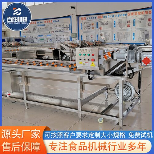 全自动气泡清洗机水果蔬菜鼓泡清洗机无花果山楂翻浪气泡清洗设备