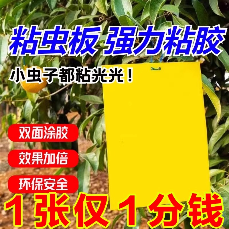 粘虫板黄板双面小飞虫灭杀神器