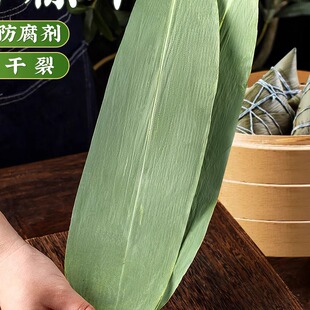 粽叶包粽子专用粽子叶干特大号棕叶竹叶子新鲜商用端午箬叶