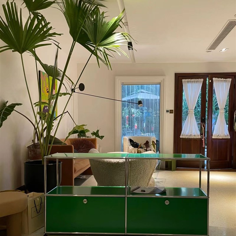 大叶蒲葵盆栽大型绿植室内庭院好养耐寒植物四季常青棕榈树除甲醛