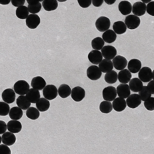 金纳米颗粒Au/银纳米颗粒Ag/纳米金/纳米银溶液5nm~200nm/ 胶体金