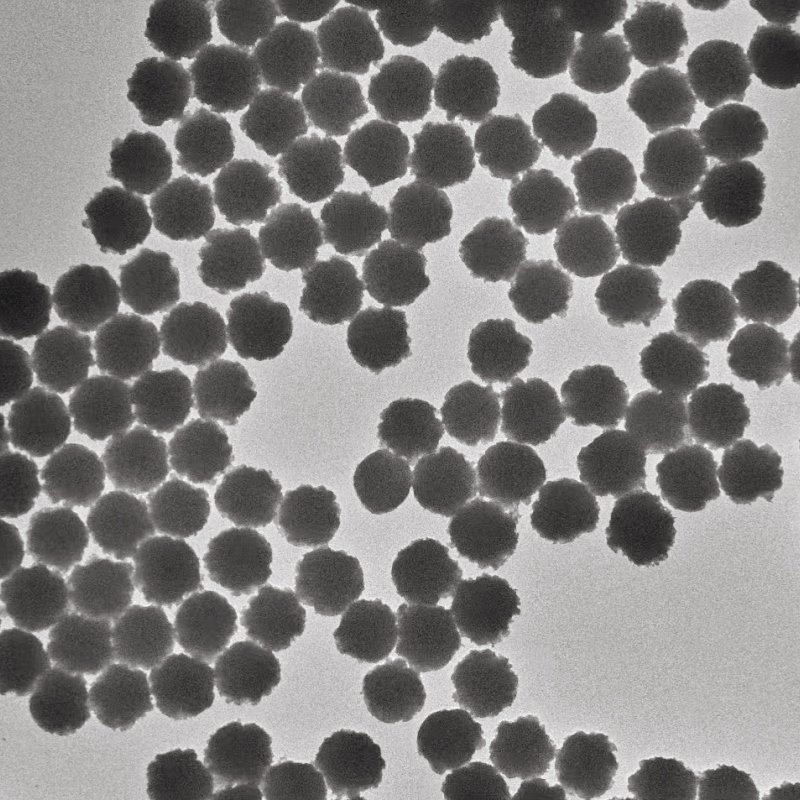 Fe3O4纳米颗粒/四氧化三铁磁性微球/磁流体/磁珠/羧基/羟基/氨基