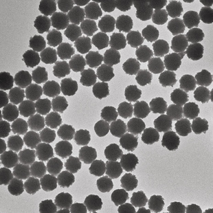 Fe3O4纳米颗粒/四氧化三铁磁性微球/磁流体/磁珠/羧基/羟基/氨基