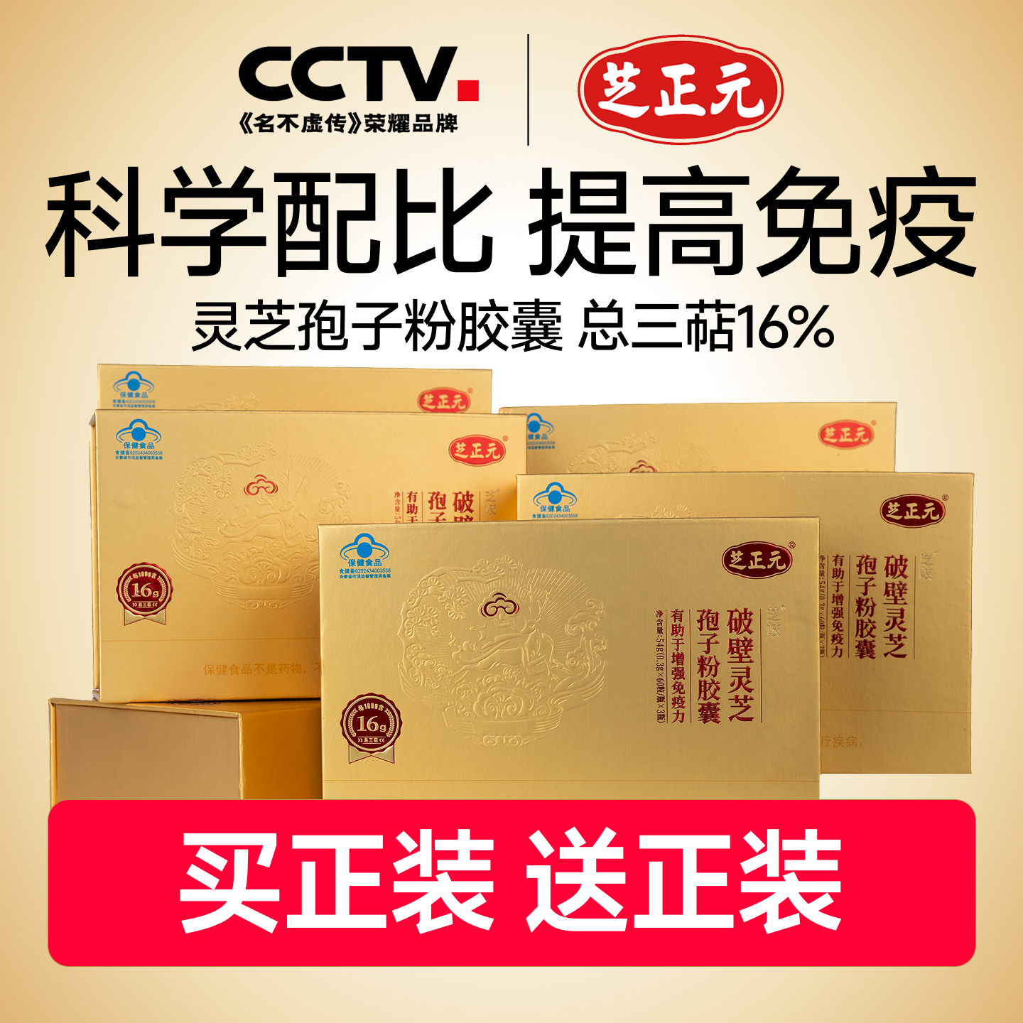 芝正元（年套餐）破壁灵芝孢子粉胶囊 60粒*3瓶*12礼盒 三萜16%