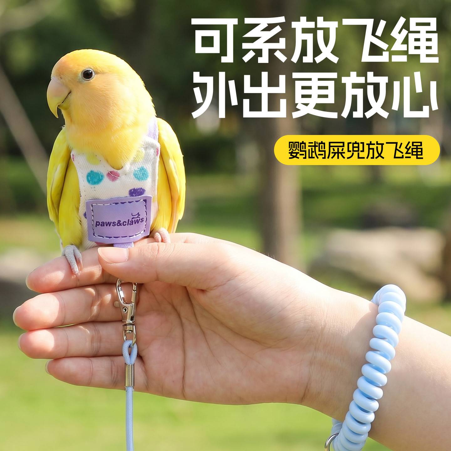 鹦鹉虎皮屎尿兜外出牵引绳防飞丢宠物小鸟尿不湿一次性屎便兜衣服