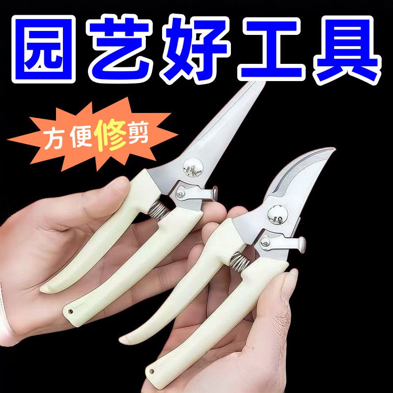 园艺园林修枝剪刀果树花剪