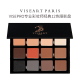 Viseart 24g 包装 VisePRO专业彩妆师经典 12色眼影盘磁吸大盘新版
